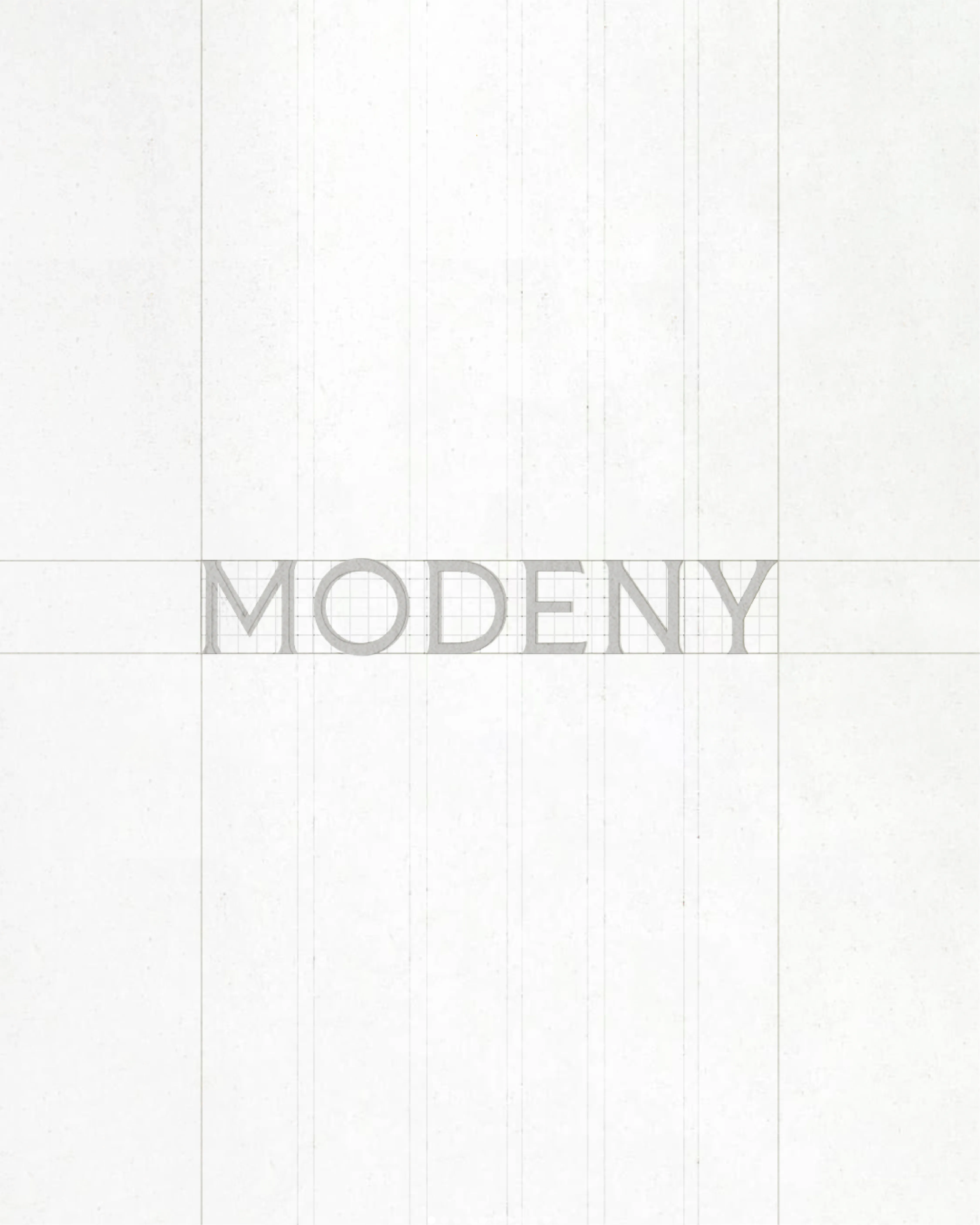 MODENY project image 3