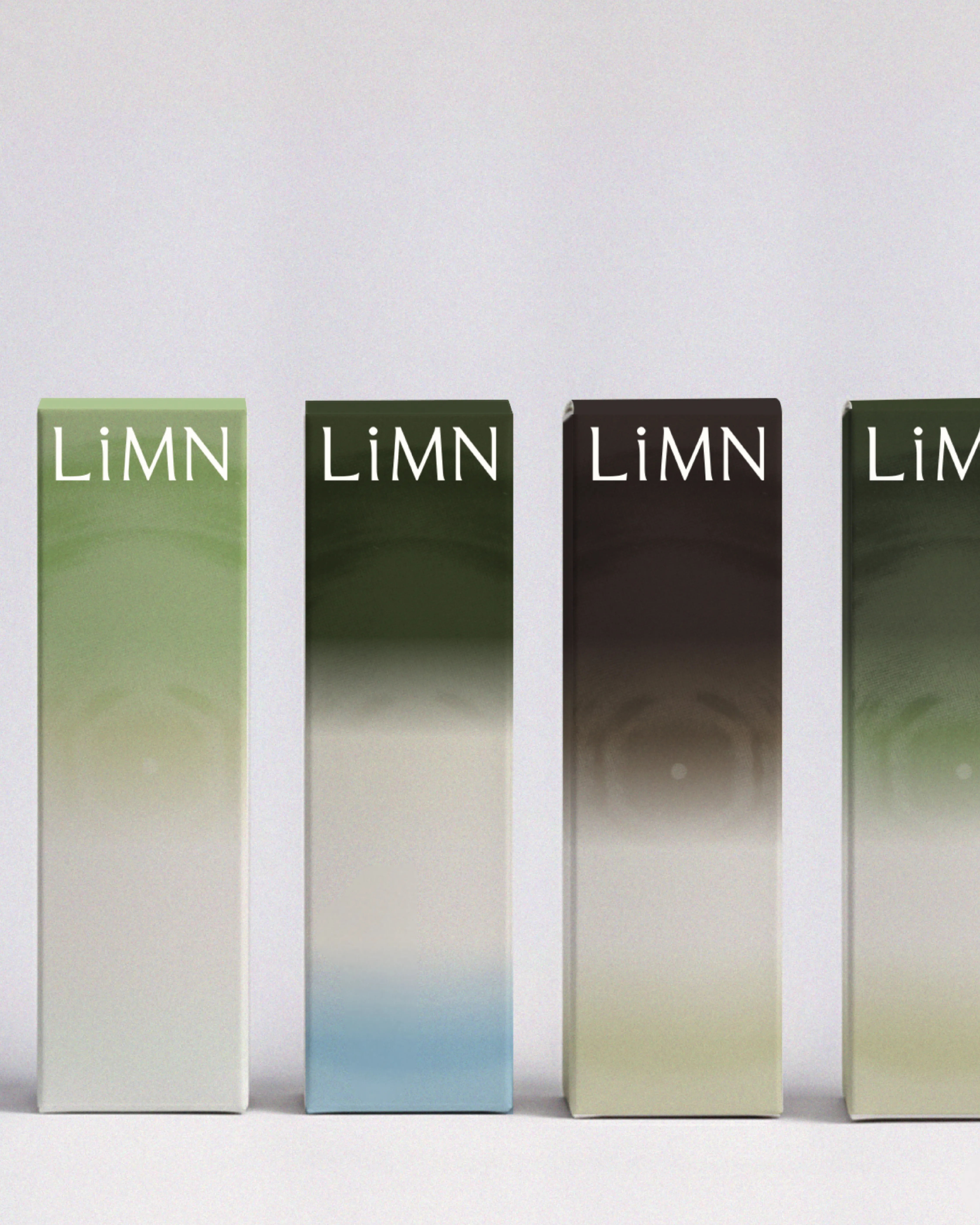 LiMN project image 13