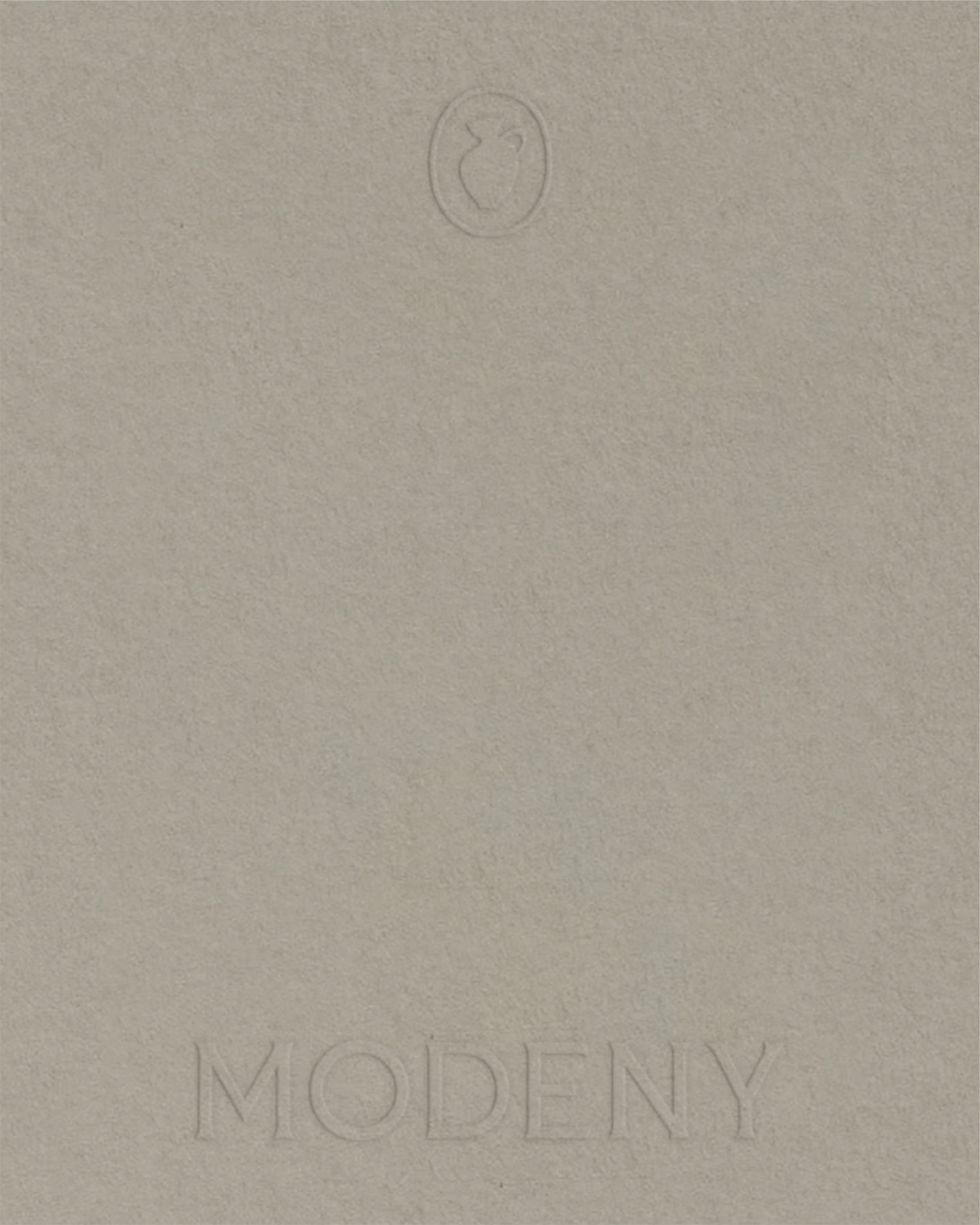 MODENY project image 11