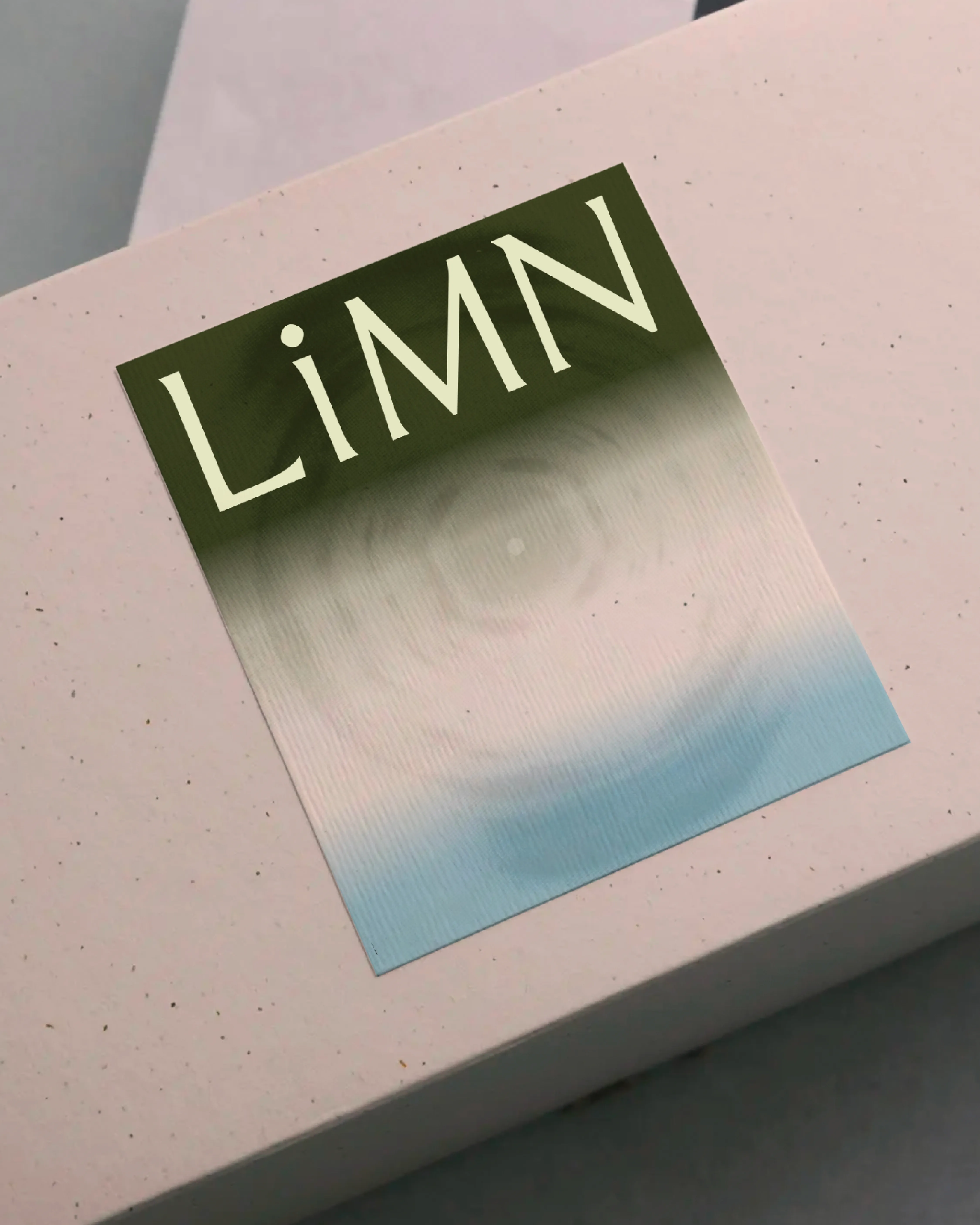 LiMN project image 7