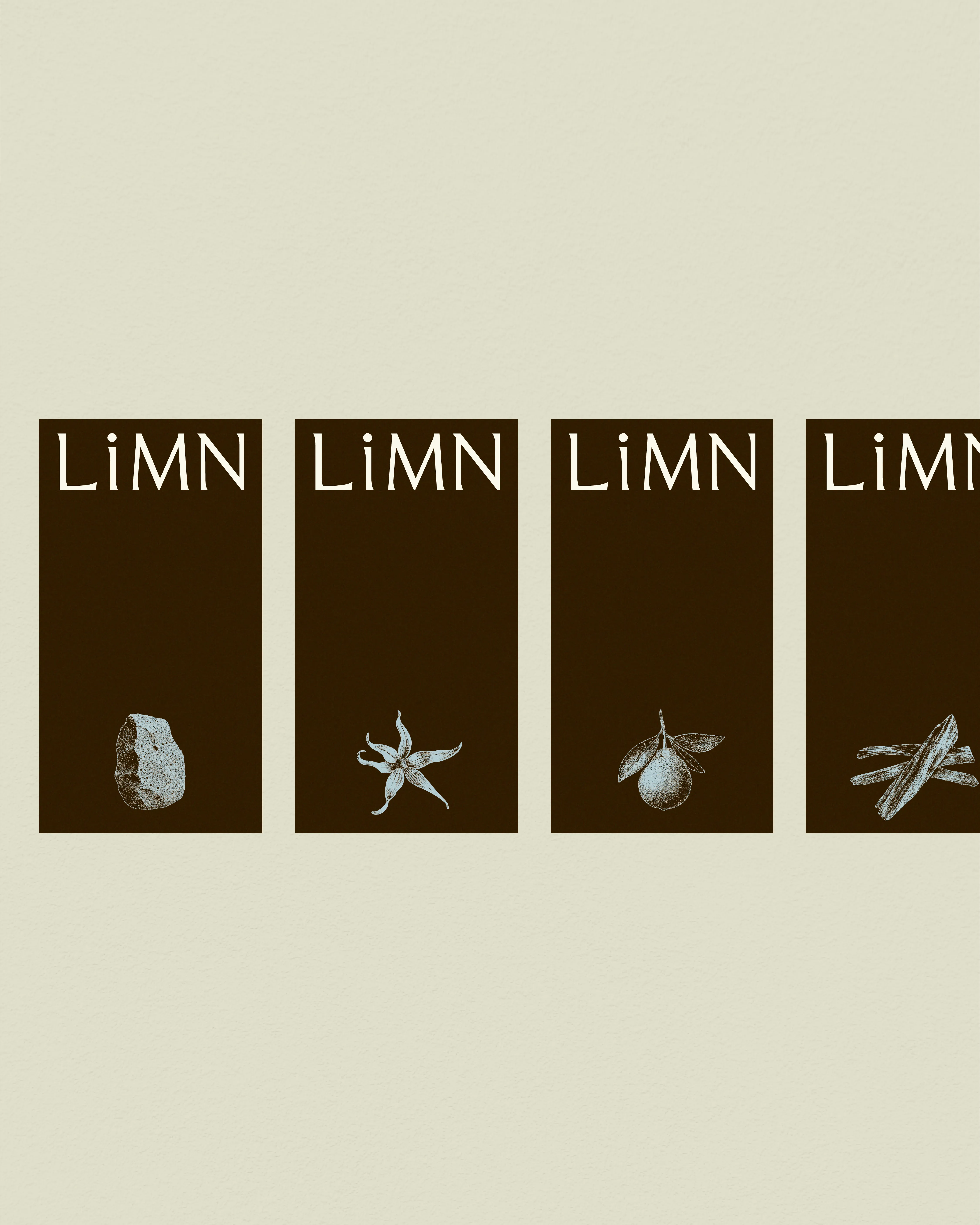 LiMN project image 10