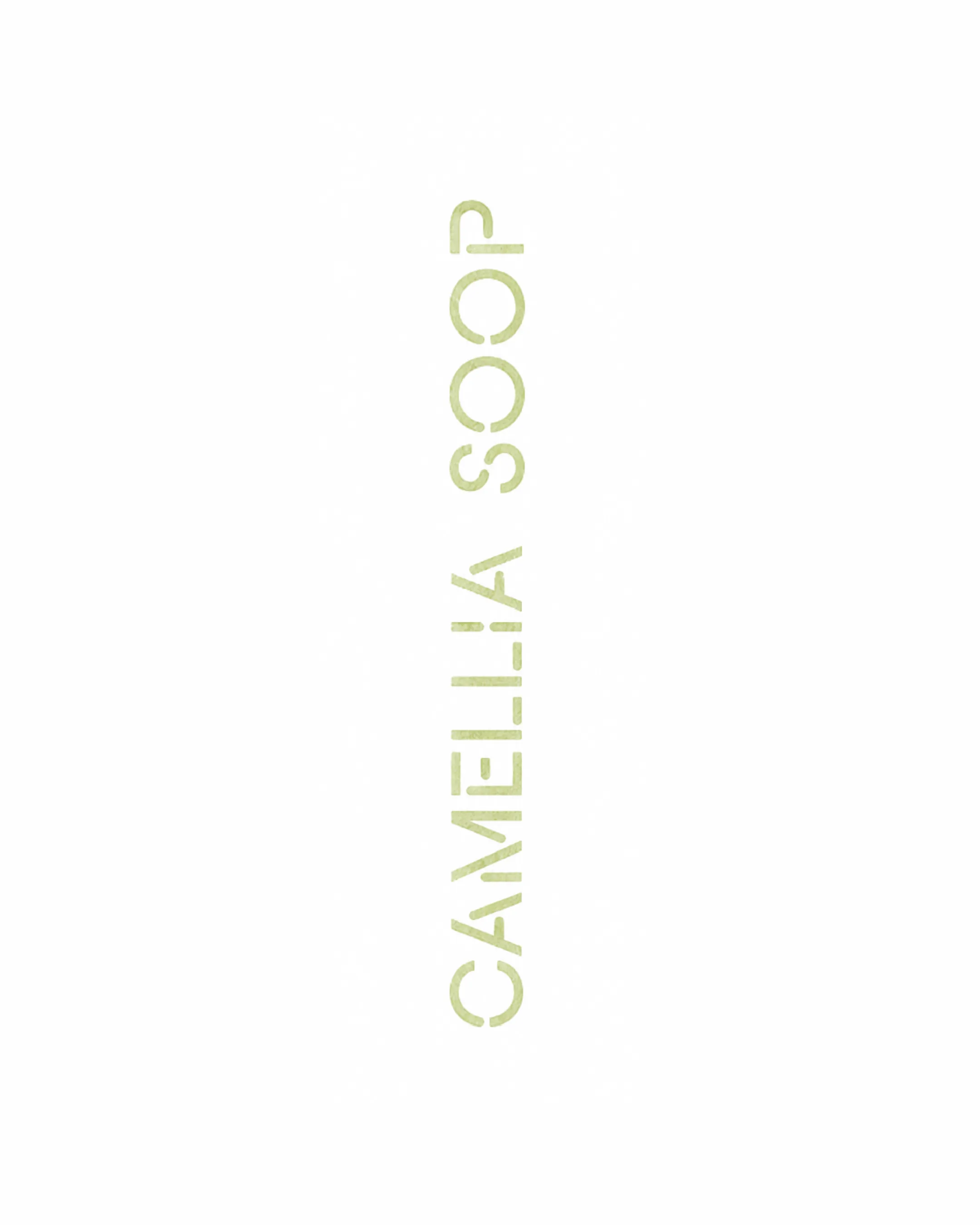 CAMELLIA SOOP project image 7