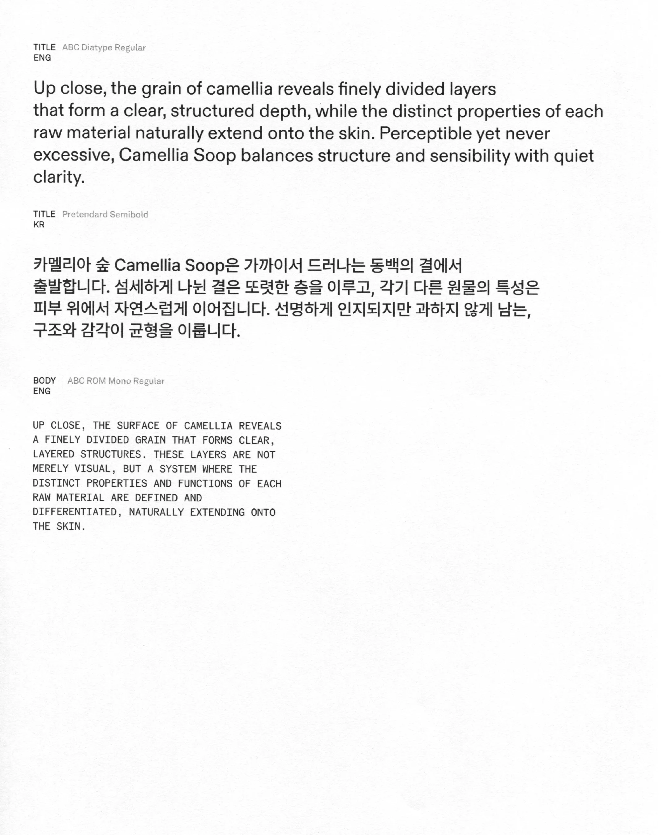 CAMELLIA SOOP project image 14