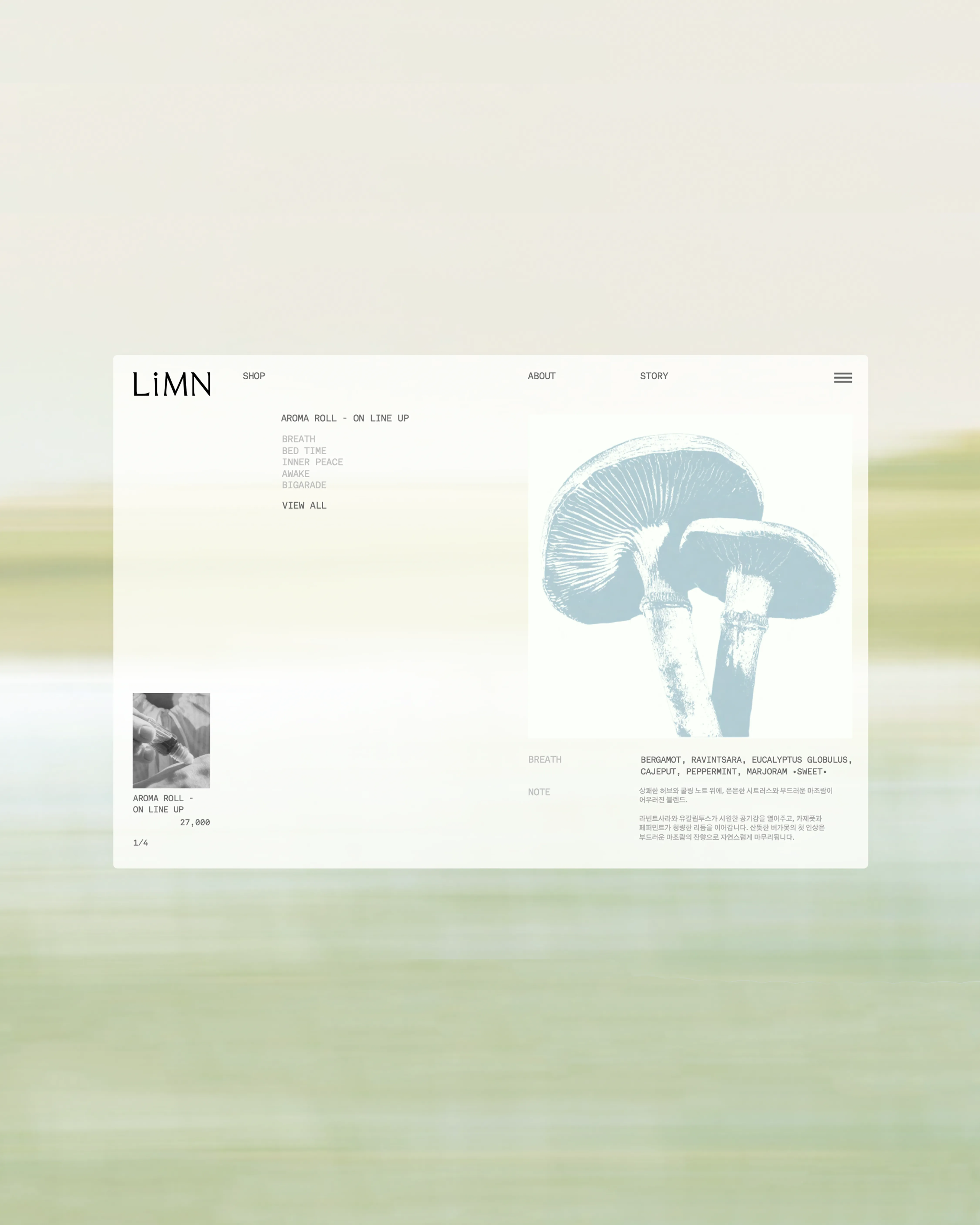 LiMN project image 1