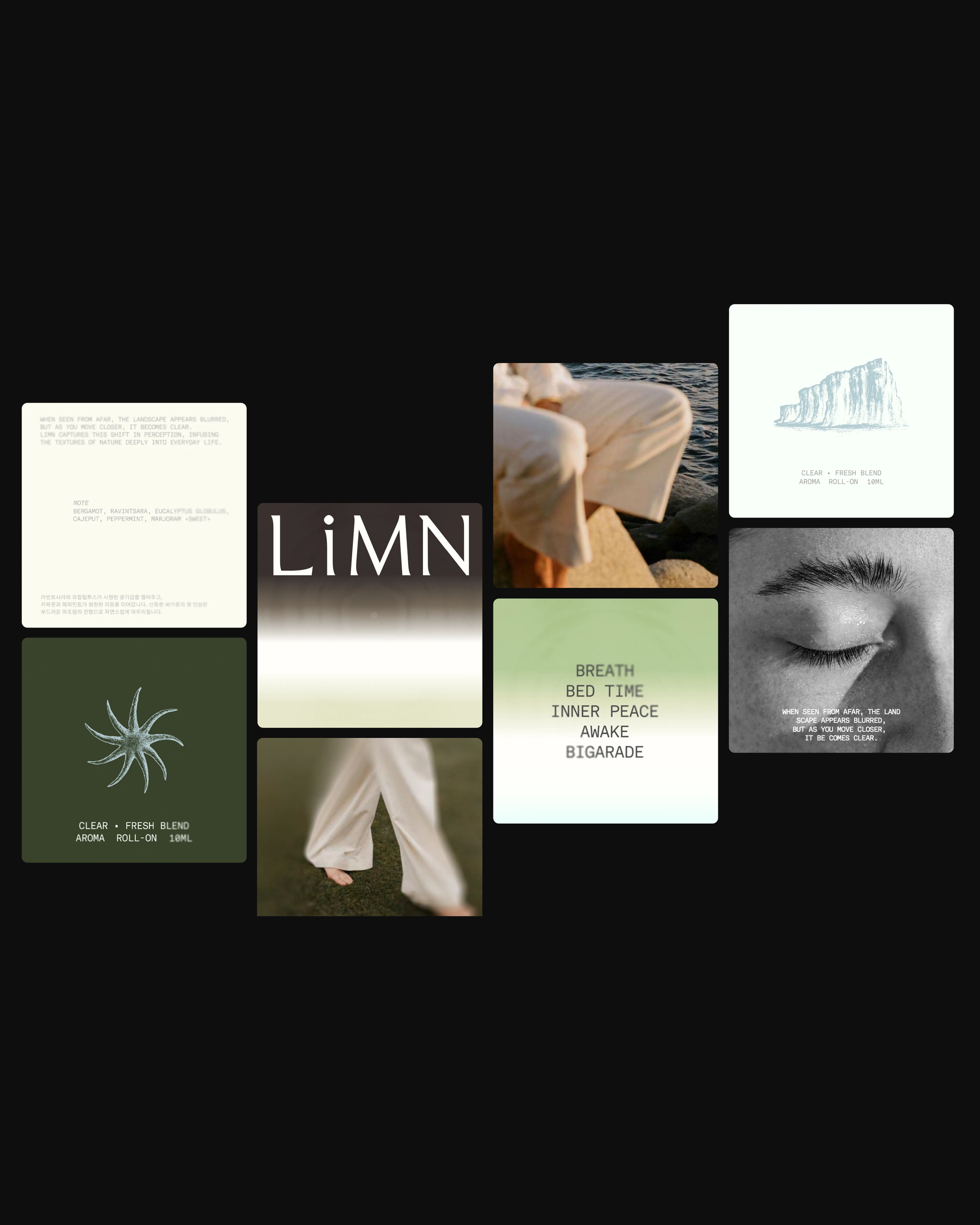 LiMN project image 3