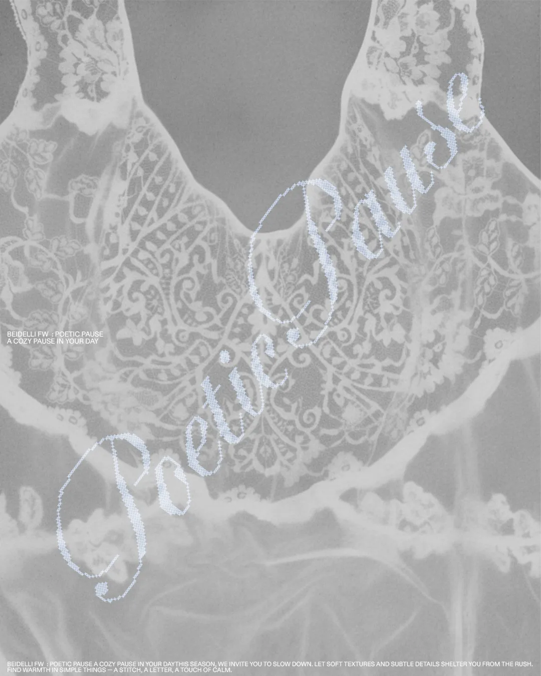 BEIDELLI project image 2