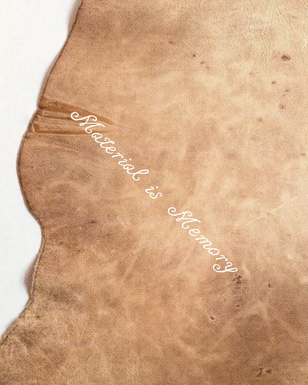 MERREVE project image 6